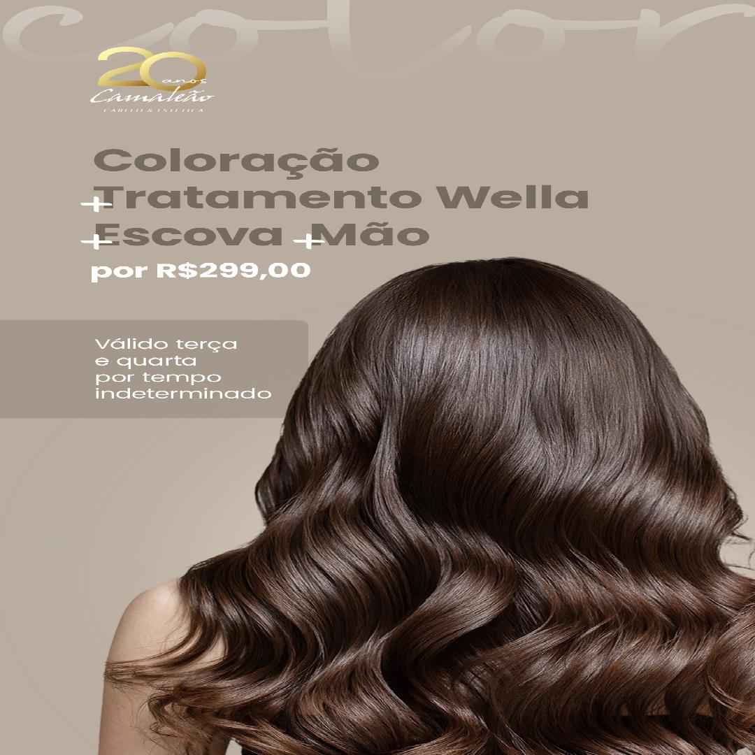 Coloração + Tratamento W. + Mão